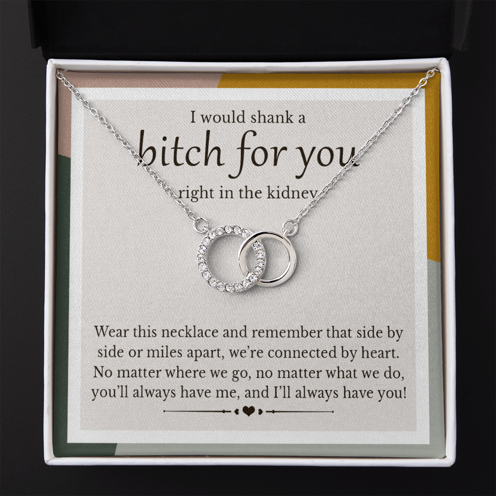Friend Funny Gift | I'd Shank A Bitch For You | Perfect Pair Necklace