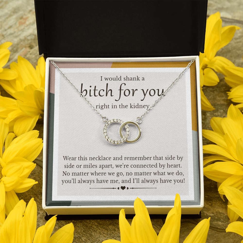 Friend Funny Gift | I'd Shank A Bitch For You | Perfect Pair Necklace
